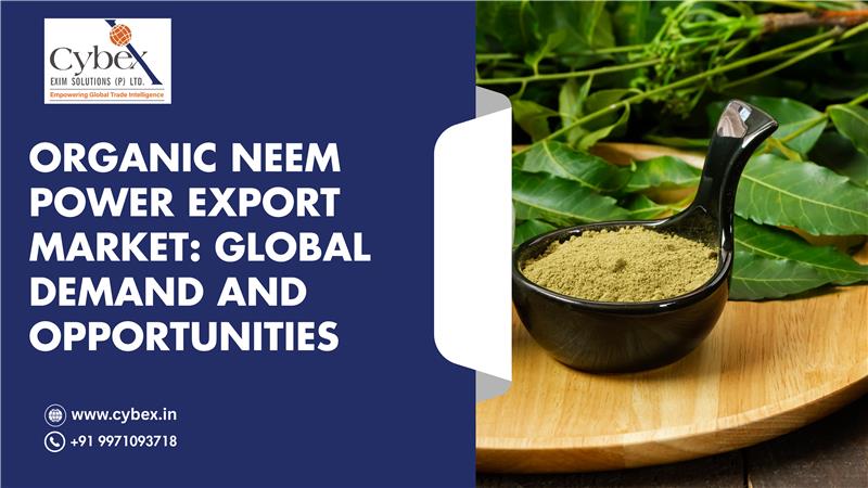 Organic Neem Power Export Market